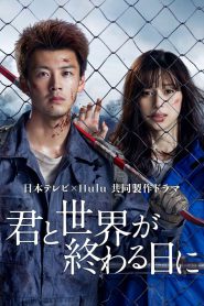 series gato: Ver 君と世界が終わる日に Episodios completos