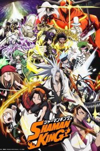 series gato: Ver Shaman King Episodios completos