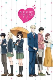 series gato: Ver Koi to Yobu ni wa Kimochi Warui Episodios completos