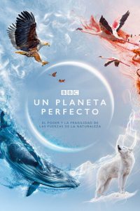 series gato: Ver Un planeta perfecto Episodios completos