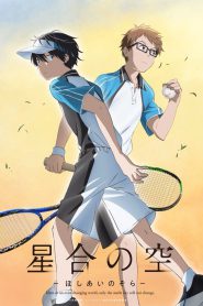 series gato: Ver Hoshiai no Sora Episodios completos