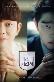 series gato: Ver Class Of Lies Episodios completos