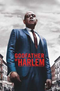 series gato: Ver El padrino de Harlem Episodios completos