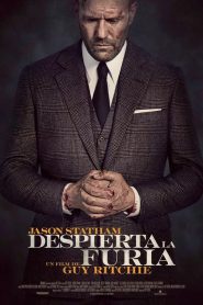 series gato: Ver película Despierta la furia 2021 gratis