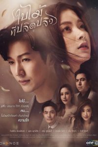 series gato: Ver ใบไม้ที่ปลิดปลิว Episodios completos