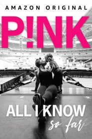 series gato: Ver película P!NK: All I Know So Far 2021 gratis