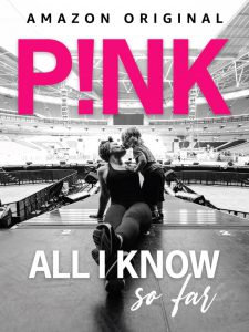 series gato: Ver película P!NK: All I Know So Far 2021 gratis