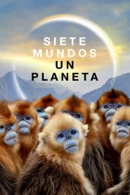 series gato: Ver Siete mundos, un planeta Episodios completos