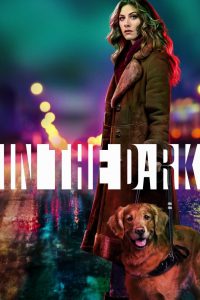 series gato: Ver In the Dark Episodios completos