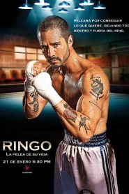 series gato: Ver Ringo, la pelea de su vida Episodios completos