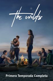 series gato: Ver The Wilds Episodios completos