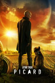 series gato: Ver Star Trek: Picard Episodios completos