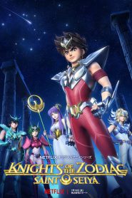series gato: Ver Saint Seiya: Los Caballeros del Zodiaco Episodios completos