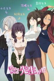 series gato: Ver Nande Koko ni Sensei ga!? Episodios completos