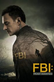 series gato: Ver FBI: Most Wanted Episodios completos