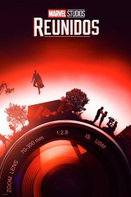 series gato: Ver Marvel Studios: Reunidos Episodios completos