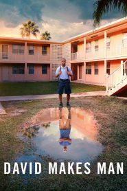 series gato: Ver David Makes Man Episodios completos