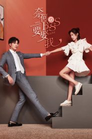 series gato: Ver Well Intended Love Episodios completos