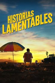 series gato: Ver película Historias lamentables 2021 gratis