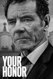 series gato: Ver Your Honor Episodios completos