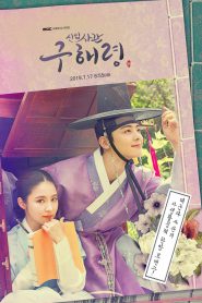 series gato: Ver Rookie Historian Goo Hae Ryung Episodios completos