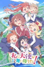 series gato: Ver Watashi ni Tenshi ga Maiorita! Episodios completos