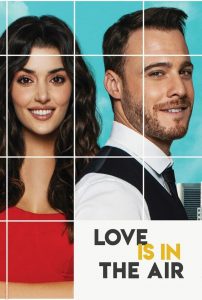 series gato: Ver Love is in the air Episodios completos