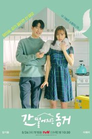 series gato: Ver 간 떨어지는 동거 Episodios completos